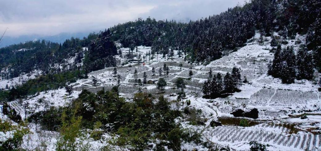 Snow landscape in Ha Giang